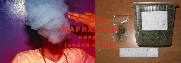 кокс Ельня