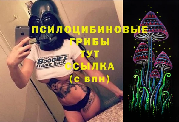 кокс Ельня