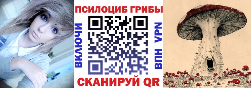 закладка  Кадников  Галлюциногенные грибы MAGIC MUSHROOMS 